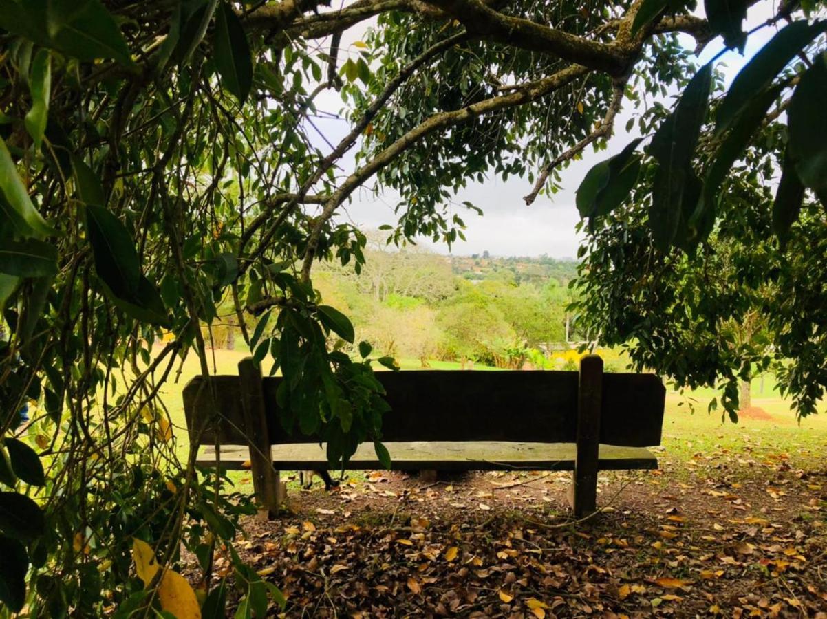 Pousada Sitio Da Terra E Arte São Roque Exterior foto