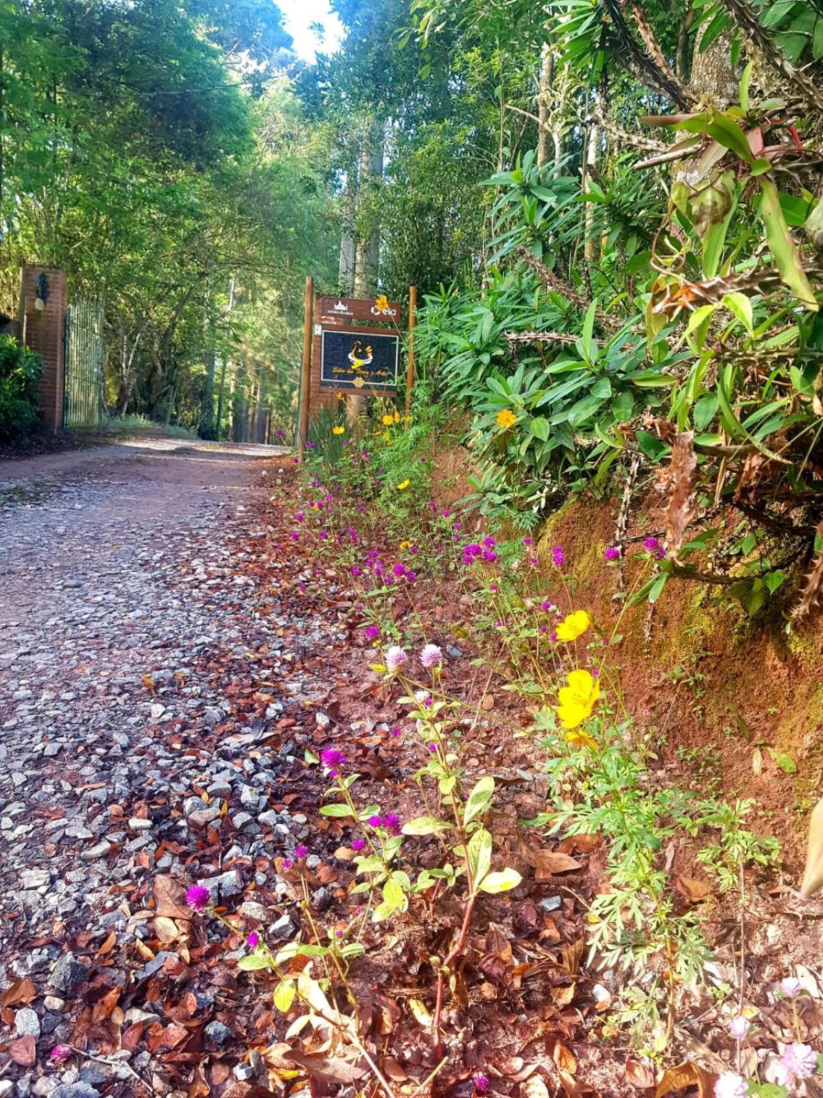 Pousada Sitio Da Terra E Arte São Roque Exterior foto