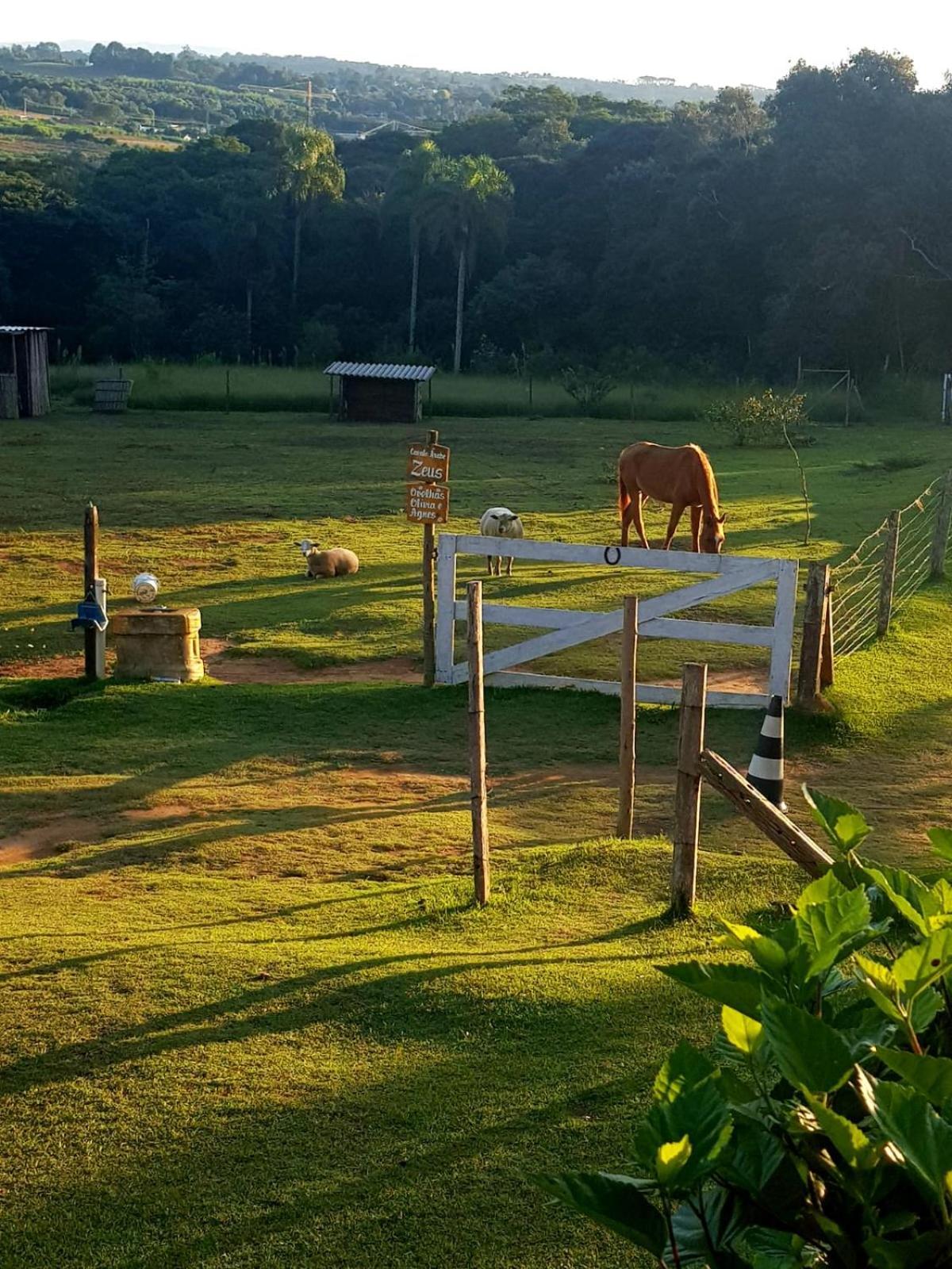 Pousada Sitio Da Terra E Arte São Roque Exterior foto