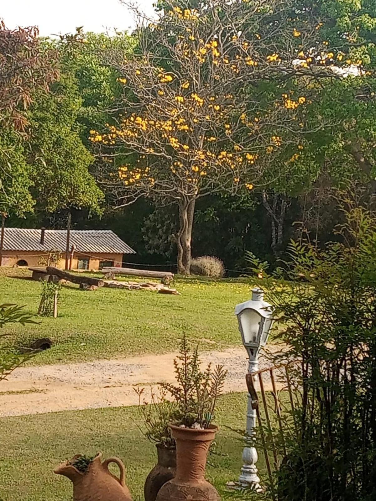 Pousada Sitio Da Terra E Arte São Roque Exterior foto